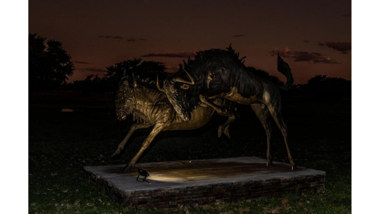 Sandune Game Lodge Gobabis Экстерьер фото